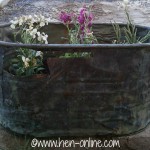 Old copper wash tub with flowers planted